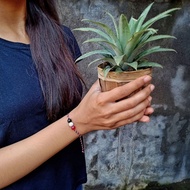 Tridatu natural Stone [re-upload]