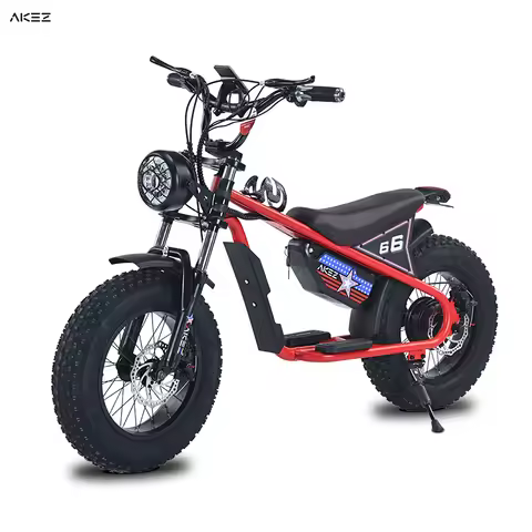 US Stock AKEZ 2025 16" Children Fat Tire Electric Bike 36V 350W Motor 15Ah Battery Kids E-Bike for O