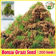 เมล็ดพันธุ์ หญ้าบอนไซ หญ้าร็อคกี้ บรรจุ 200 เมล็ด Bonsai Grass Plant Seeds for Aquarium Rockery Decorations Aquatic Grass Seed เมล็ดดอกไม้ เมล็ดบอนสี ต้นไม้มงคล ไม้ประดับ พันธุ์ดอกไม้ Bonsai Grass for Quickly Landscaping Rockery Artificial Aquarium Plants