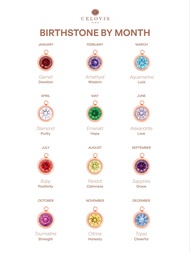 [ ADD ON ] CELOVIS Birthstone 5A Grade Cubic Zirconia Charms ( January - December 18K Gold/ Rose Gol