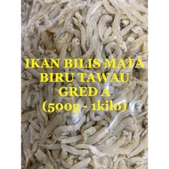 IKAN BILIS MATA BIRU