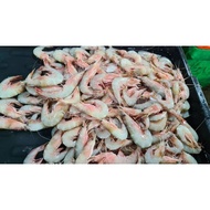 Udang laut/Sea Prawn