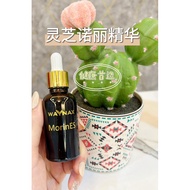 WAYNAX 灵芝诺丽精华🍀❤️30ml