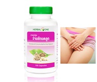 [Special Trial Promo] 100 Curcuma Xanthorrhiza Capsules (Jamu Ingredient / Temulawak / Java ginger)