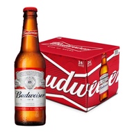 BUDWEISER Beer Bot (330ML X 24)