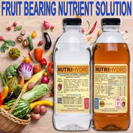 Nutrihydro Fruit Bearing Nutrients Hydroponics &amp; Potted Plants