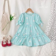 Baby chrysanthemum embroidered dress 14-35kg