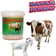 Obat Sapi Kambing Salep PINICILLIN Sakit Koreng Eksim Luka Borok Jamuran