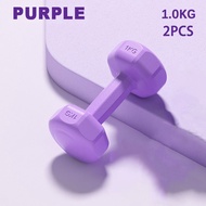 Womens Dumbbell Hexagonal Dumbell Gym Fitness Exercise Family Weight Training Exercise Dumbbells Set