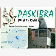 burung merpati tinggian sepasang