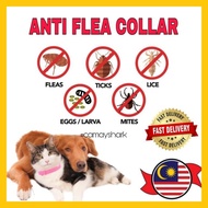 ANTI FLEA COLLAR | KOLAR KUTU KUCING ANJING