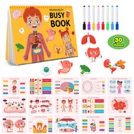 Human Anatomy Busy Book for Toddlers Montessori Preschool Learning Activities 30 Theme for Kids Sens