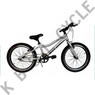 Raleigh Micro 20'' Bike