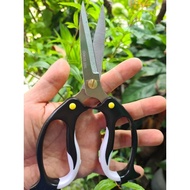 Penguin k90 scissors - Sharp k90 scissors