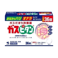 ガスピタン３６錠