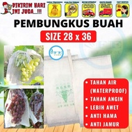 Pembungkus Buah Tembus Pandang Fruit Cover Anggur Transparan