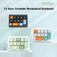 RGB Backlit 12 Keys Tri-Mode Wireless Mechanical Keyboard Full Hot Swappable Programming Number Keyb