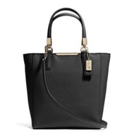 Coach north south mini tote