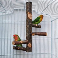 【GW】Bird Stand Perch,Natural Wood Parrot Perch Bird Cage,Bird Cage Perches for Parrots,Small Parakeets Cockatiels
