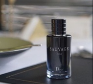 現貨‼️‼️包SF⭕️⭕️ Dior 曠野男士香精 100ml perfum香精版