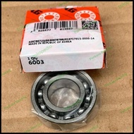 BEARING 6003 - 6003 F a G