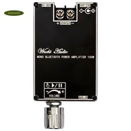 -1001B 100W Mono BT Audio Power Amplifier Module  True Wireless