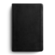 ESV Large Print Value Thinline Bible TruTone, Black