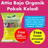 Baja Keladi Booster Caladium Organic Fertilizer Keladi Albino Cat Tumpah Red Ruffles Attia Baja Organik 肥料 有机肥料