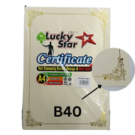 【1PACK=100 SHEET ! ! !】Lucky Star / Aplus A4 Certificate Paper 160GSM / Kertas Sijil (100S/1PACK)