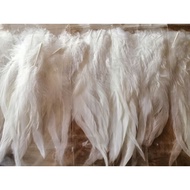 HF High Grade 20cm White Feather 10pcs, Bulu Ayam AAA Panjang 9 inci