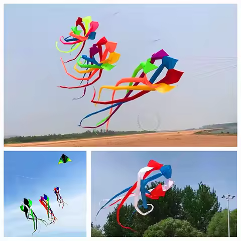 3d kite windsocks 6m rainbow kites reel albatross factory Outdoor toys Power kite wind kites drachen