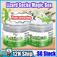 【SG】Lizard Trap Lizard Repellent Gecko Killer Magic Box Plant Formula Upgraded Lizard Killer cockroa
