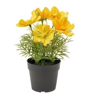 FEJKA Artificial potted plant, in/outdoor/cosmos yellow 9 cm
