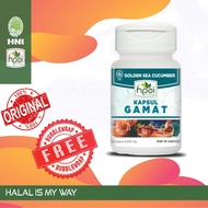 Gamat Kapsul HNI HPAI Teripang Emas Herbal Sendi 300 mg