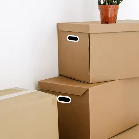 10Pcs Plastic Carton Buckle Handles for Boxes Strong Carry Handle Moving Storage Organizer Bins Larg