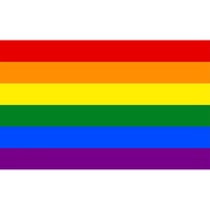 Rainbow Pride Day backdrop Rainbow Flag Banner for LGBT party