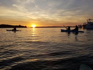 Waterfront home with Private Dock and swimming area, large fenced backyard