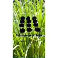 permata serai asli/permata serai hitam/batu permata