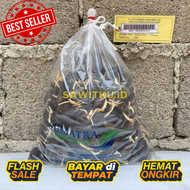 PROMO BIBIT CAMBAH KELAPA SAWIT UNGGUL (LONSUM).isi 250butir