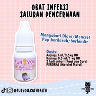Obat pup berdarah berlendir pada kucing