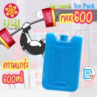 bFresh Ice Pack Max600 FW/ RD Fine Plastic Brick Cooling Gel
