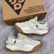 Nike ACG Mountain Fly Low GTX SE
