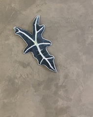 BLR 觀葉植物 造型萬用墊A4 諾比觀音蓮 龜背芋 蔓綠絨