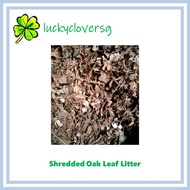 Shredded Oak Leaf Litter Leaves for Isopod / Isopods