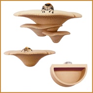 Jumping Spider Toy Magnetic Natural Mushroom Toy with Water Bowl Jumping Spider Hiding Place for Wal