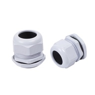 Fast Delivery Shop IP68 PG7 PG9 PG11 PG13.5 PG16 PG21 PG25 PG29 PG36 Ce Cable White Grain Gland Conn
