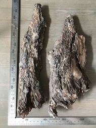 天然 松樹 樹皮 set (爬缸 生態缸 造景 蘭花 空氣草 蕨 植板