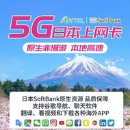 日本數據卡 JOYTEL/Softbank  5天 每天2g數據