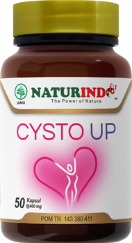 Obat Herbal CYSTO UP