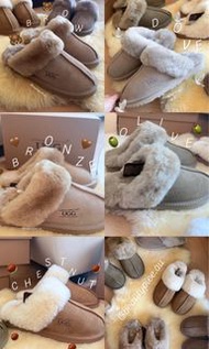正貨🇦🇺australia UGG 澳洲羊毛拖鞋 Scuffete slipper